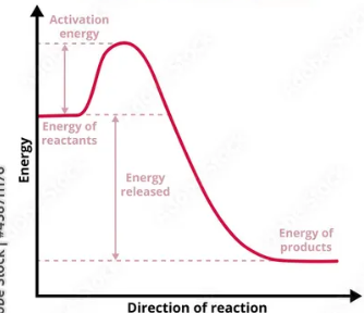 <p>Exo or endo</p>
