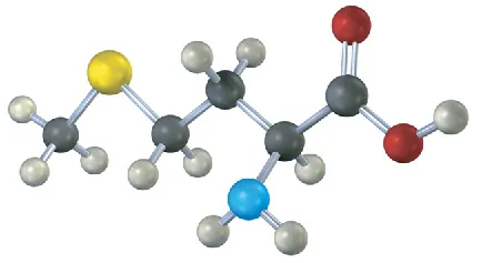 <p>(5-12)</p><p><span>Assign </span><em>R</em><span> or </span><em>S</em><span> configuration to the chirality center in the following molecular model of the amino acid methionine (blue = N, yellow = S):</span></p>