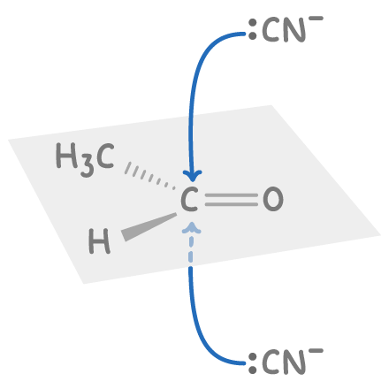<ul><li><p>carbonyl is planar around functional group</p></li><li><p><span><span>∴ attack from either either side =lly likely</span></span></p></li><li><p><span><span>giving = amounts of both enantiomers</span></span></p></li></ul><p></p>