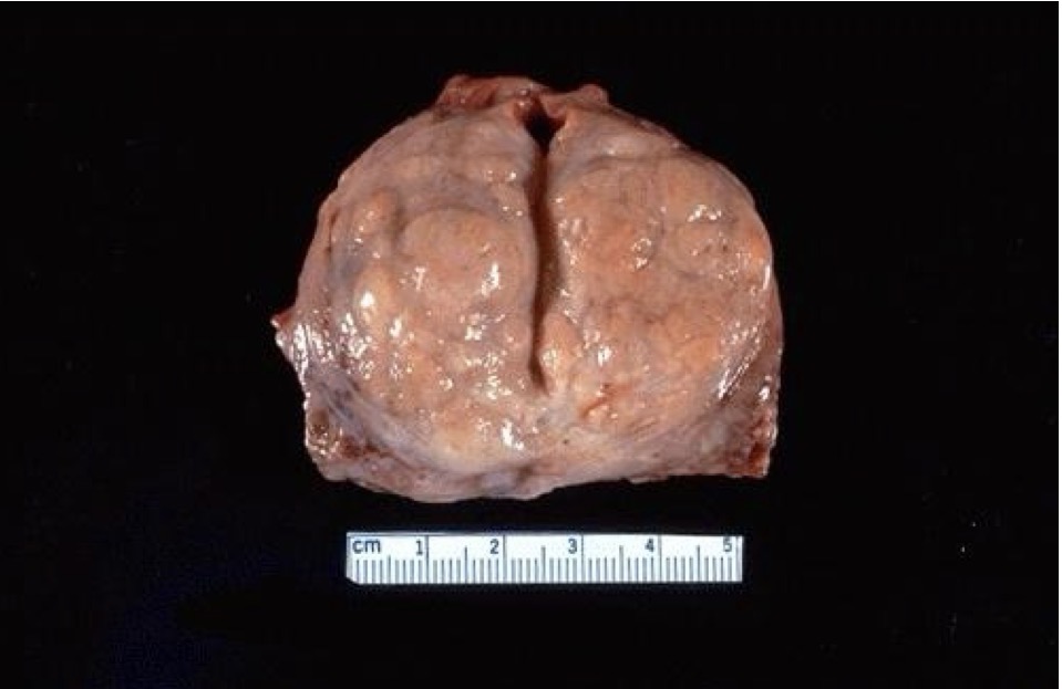 <p>A- identity</p><p>B- Describe</p>