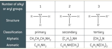 <ul><li><p>Derived from ammonia</p></li><li><p>Replace hydrogen/s with an organic group</p></li><li><p>amines fall into different classes depending on how many of the hydrogen atoms are replaced</p></li></ul><p></p>
