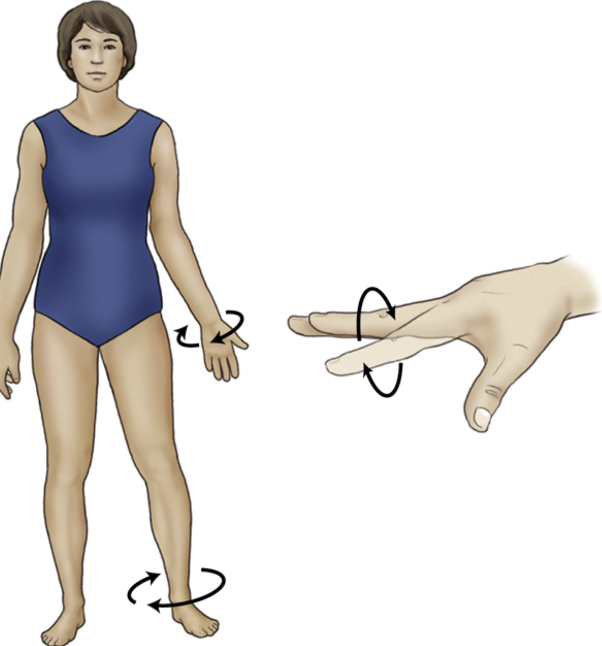 <p>circular movement of a limb </p>