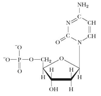 <p>Name that structure.</p>