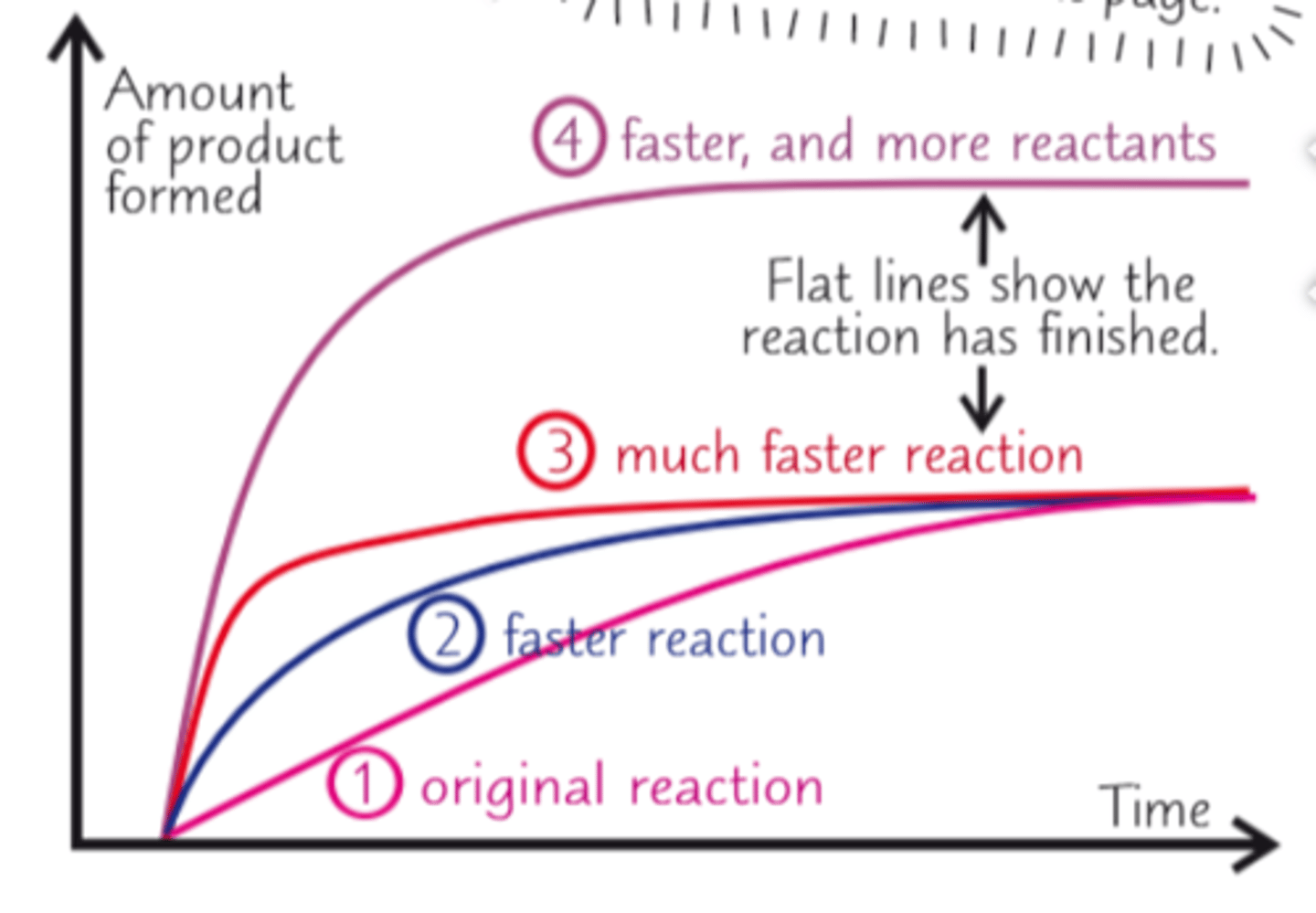 <p>faster rates of reaction</p>