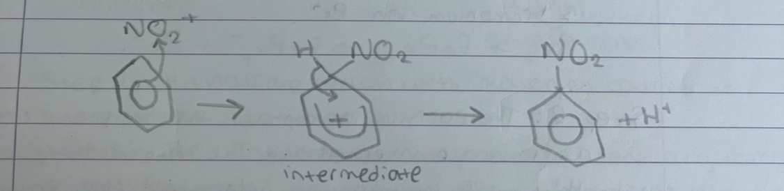 <p>what happens in step 2 of nitration of benzene</p>