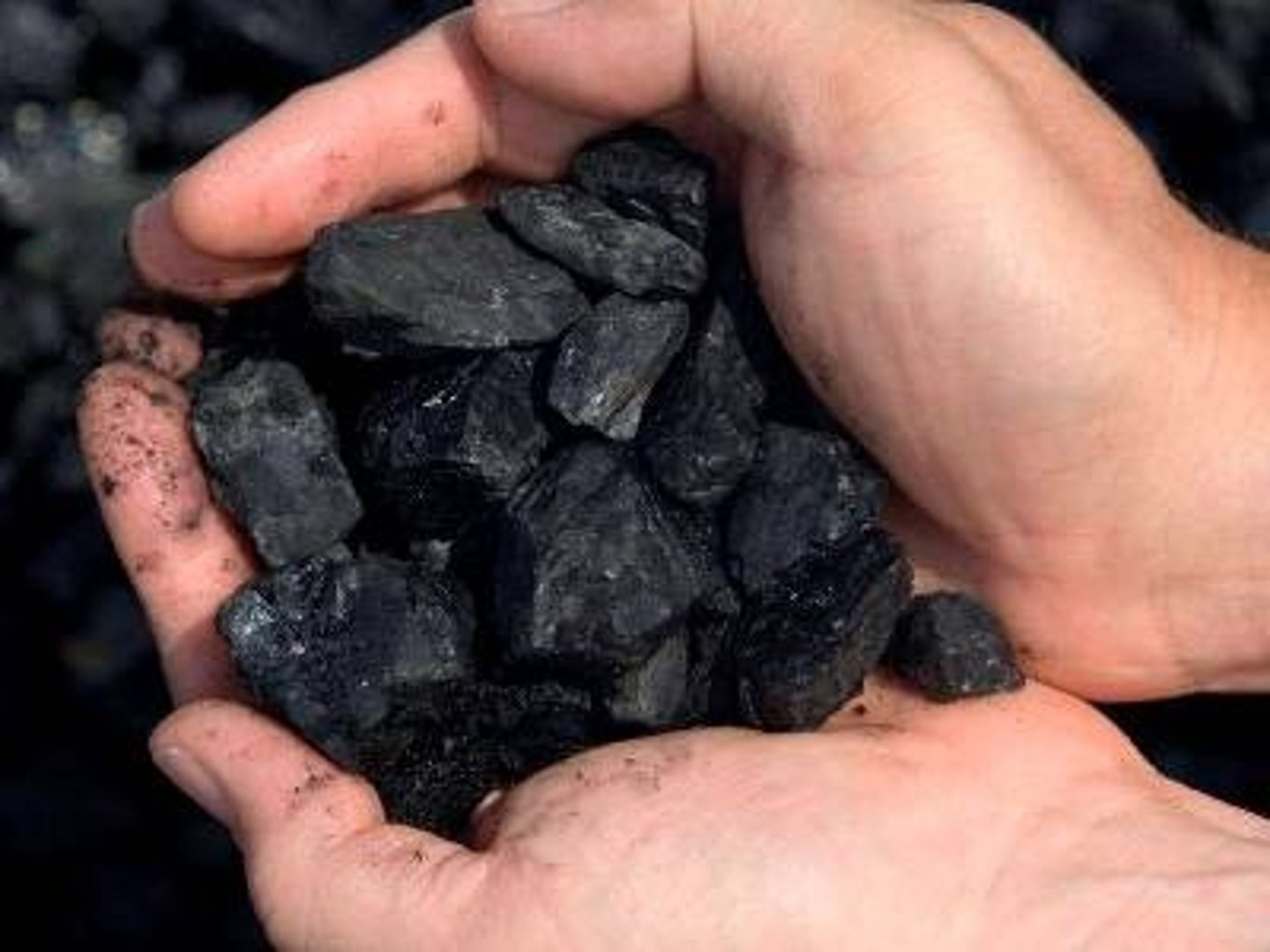 <p>a natural fuel such as coal or or oil that was formed over millions of years from the remains of animals and plants</p>