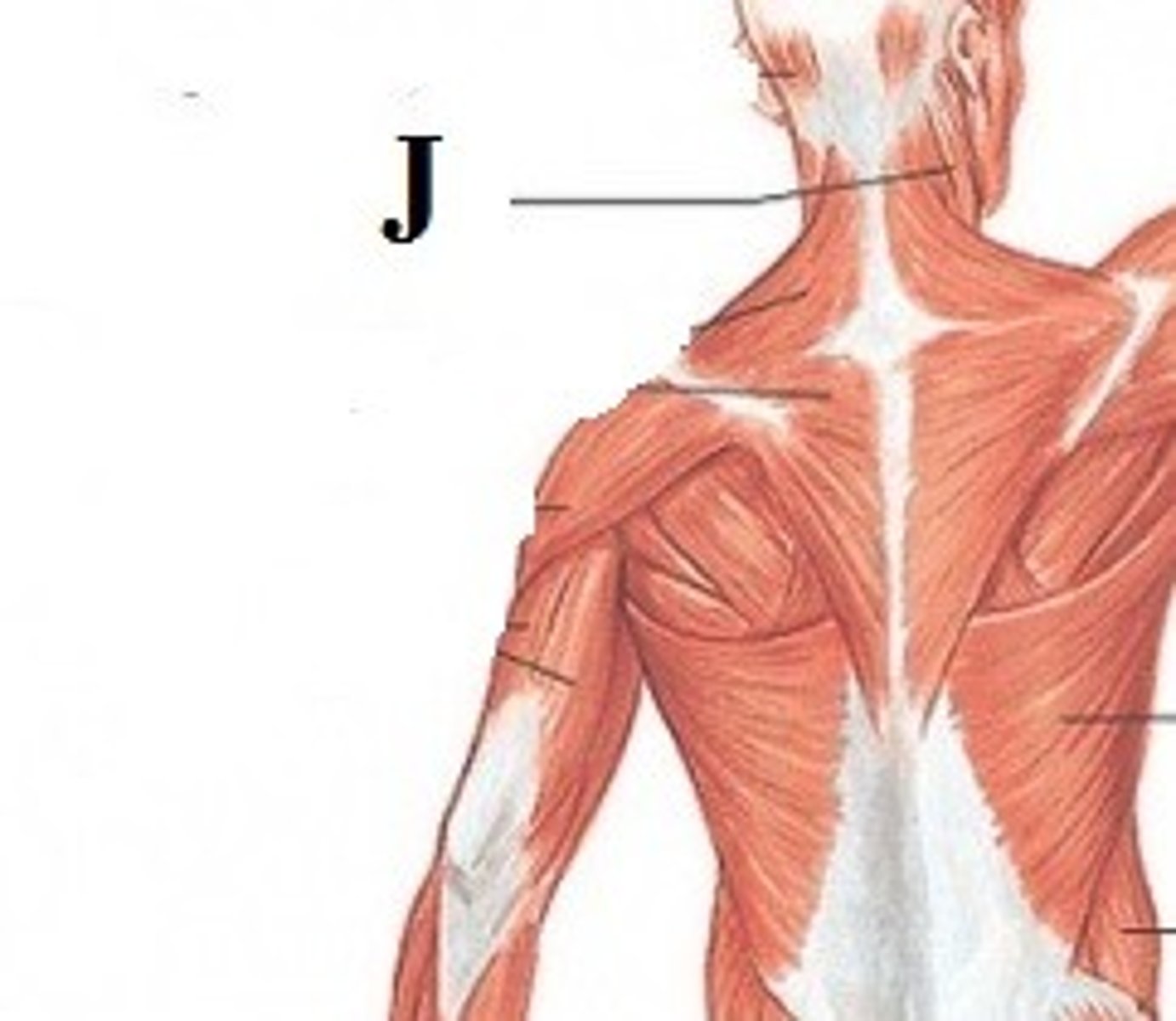 <p>DEFINITION</p>