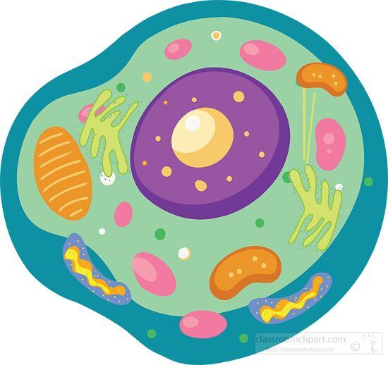 <p>The smallest unit of life that can function independently</p>