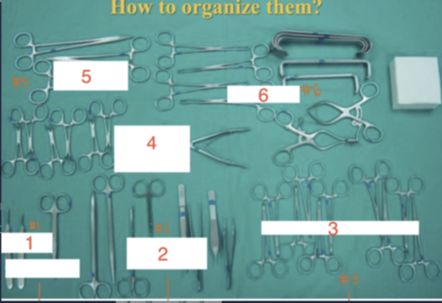 <p>¿cómo deben ser organizados los instrumentos en la mesa mayo?</p>