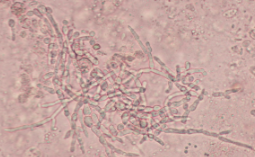 <p>What is this?</p>