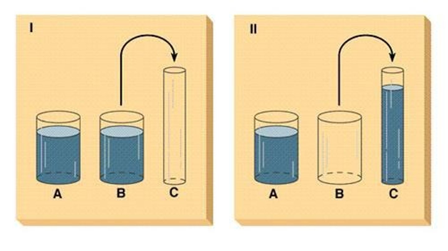 <p>They assess a child's understanding that quantity remains the same despite changes in shape or arrangement</p>