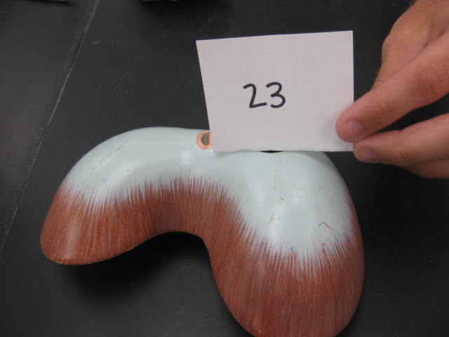 <p>Body Systems</p><p>Lab Image 1-30</p>