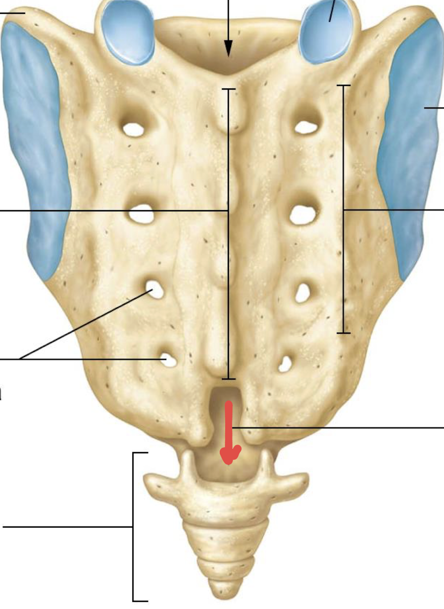 <p>what is this?</p>
