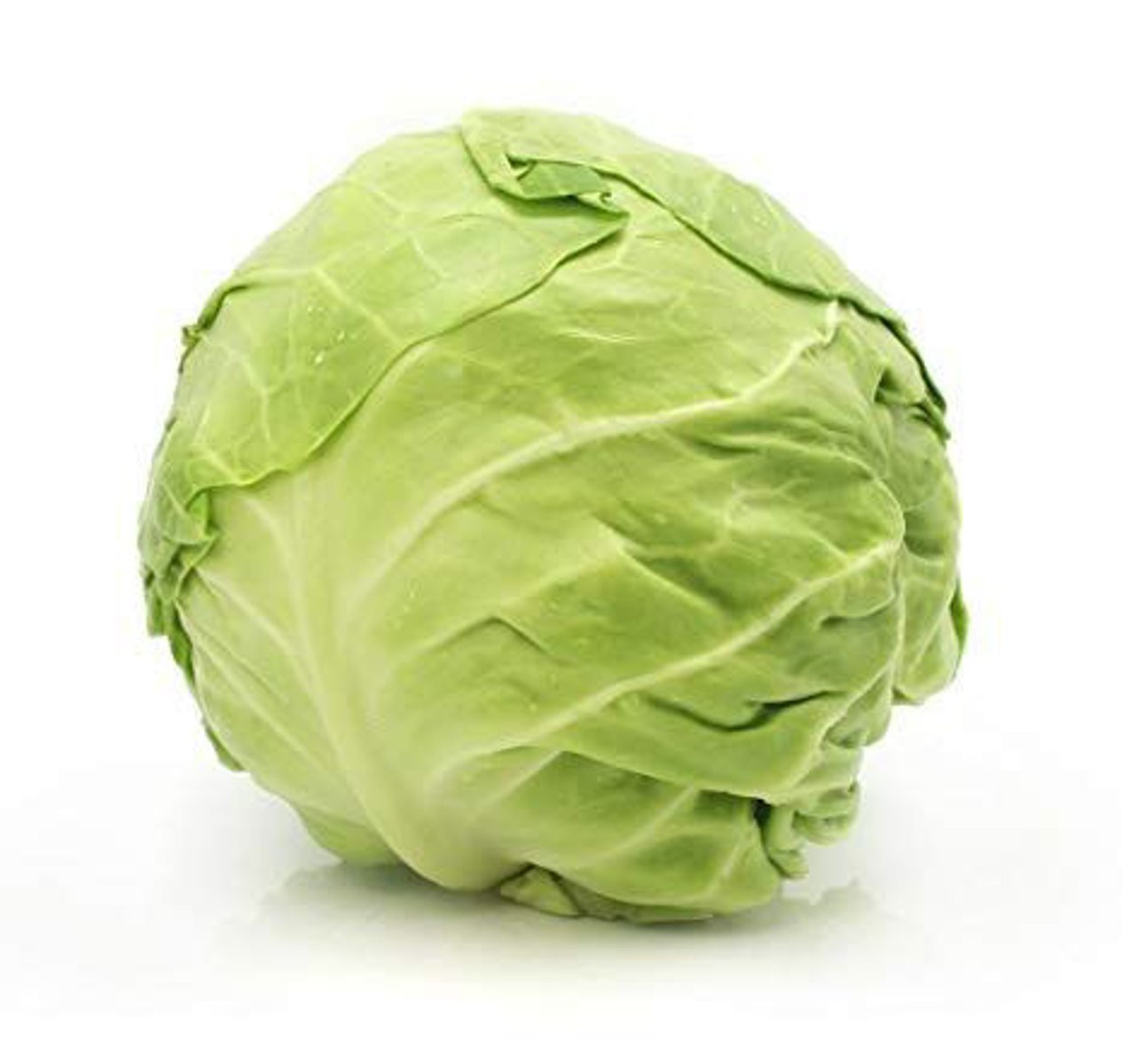 <p>cabbage</p>