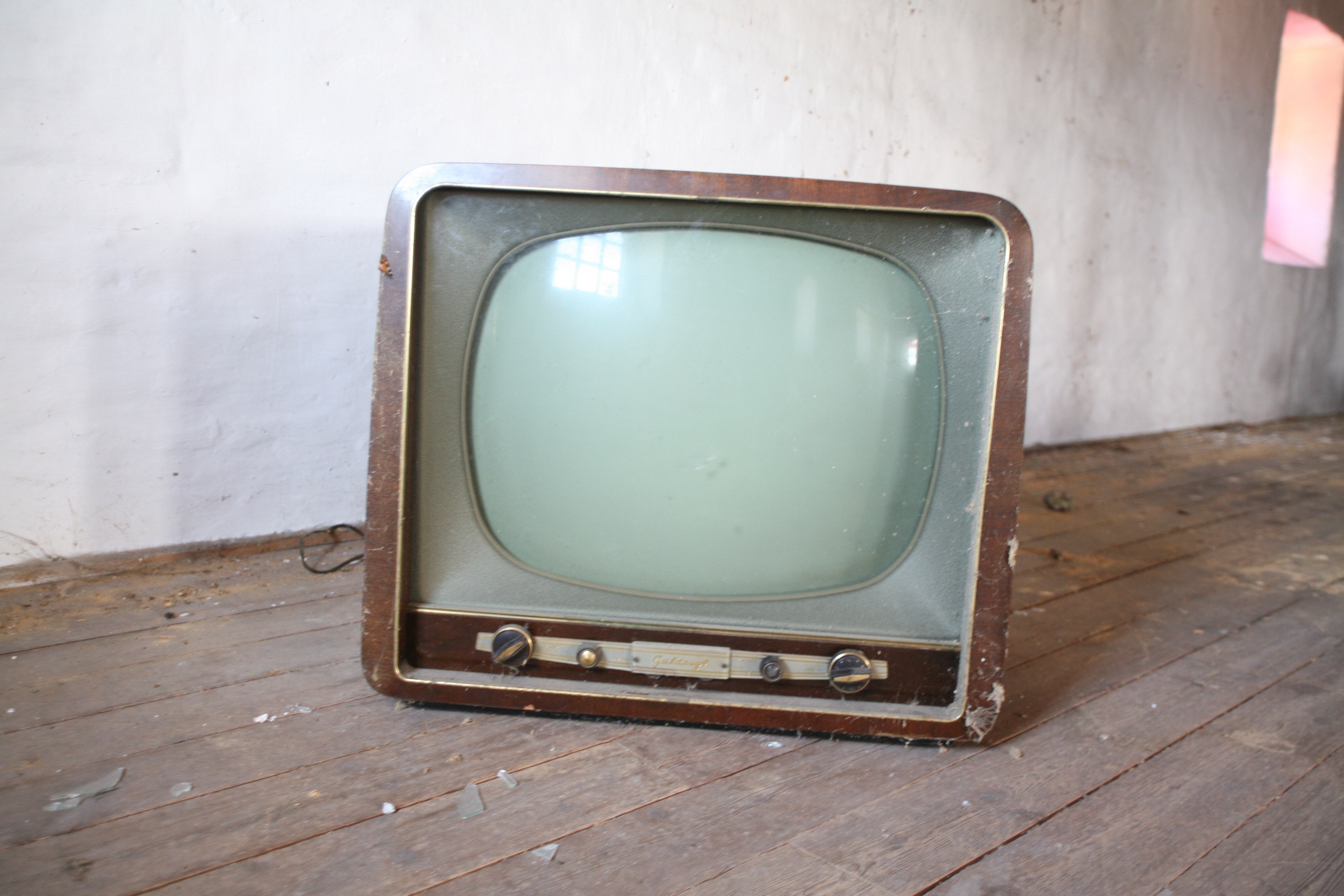 der Fernseher

