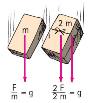 <ul><li><p>Newton’s second Law</p></li><li><p>F/m = g, 2F/2m = g</p></li></ul><p></p>