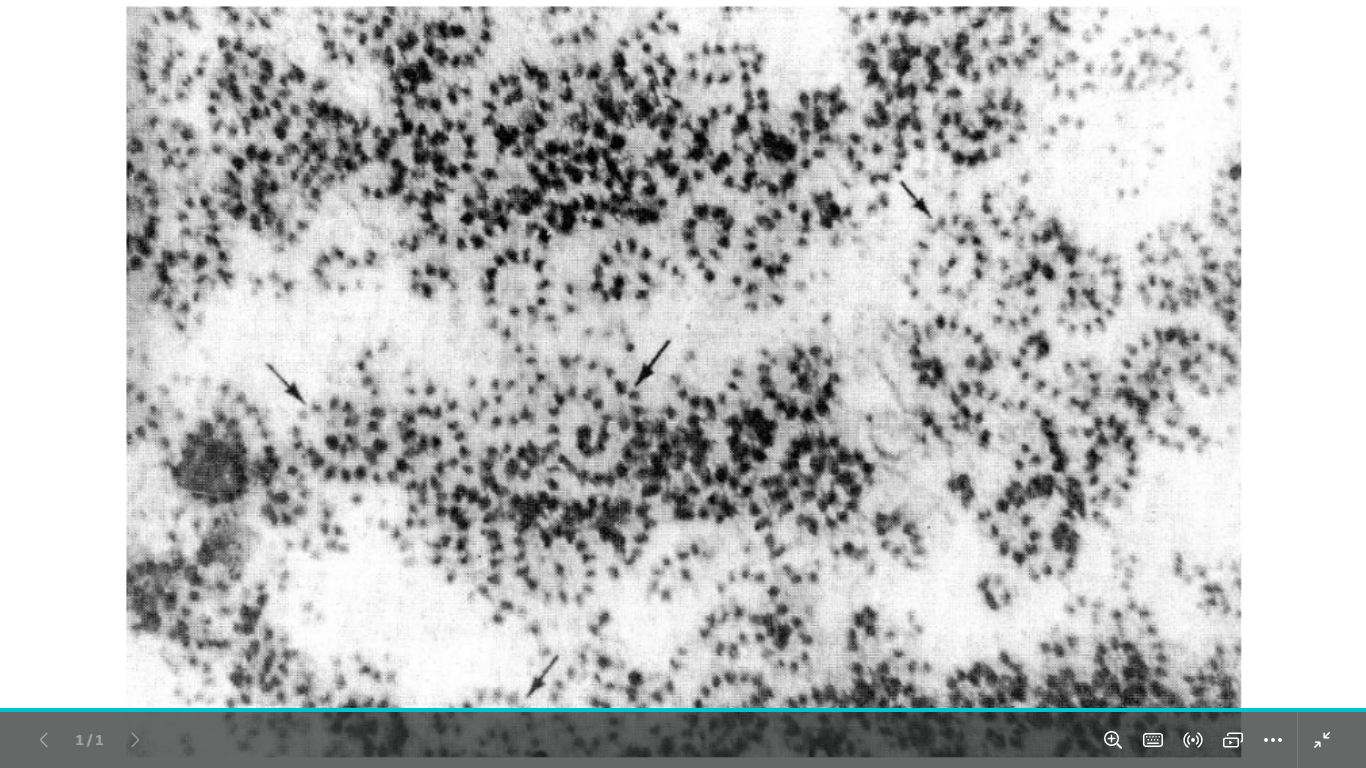 <p>identify </p><p>mention the function</p>