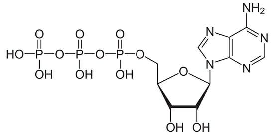 Identify this molecule