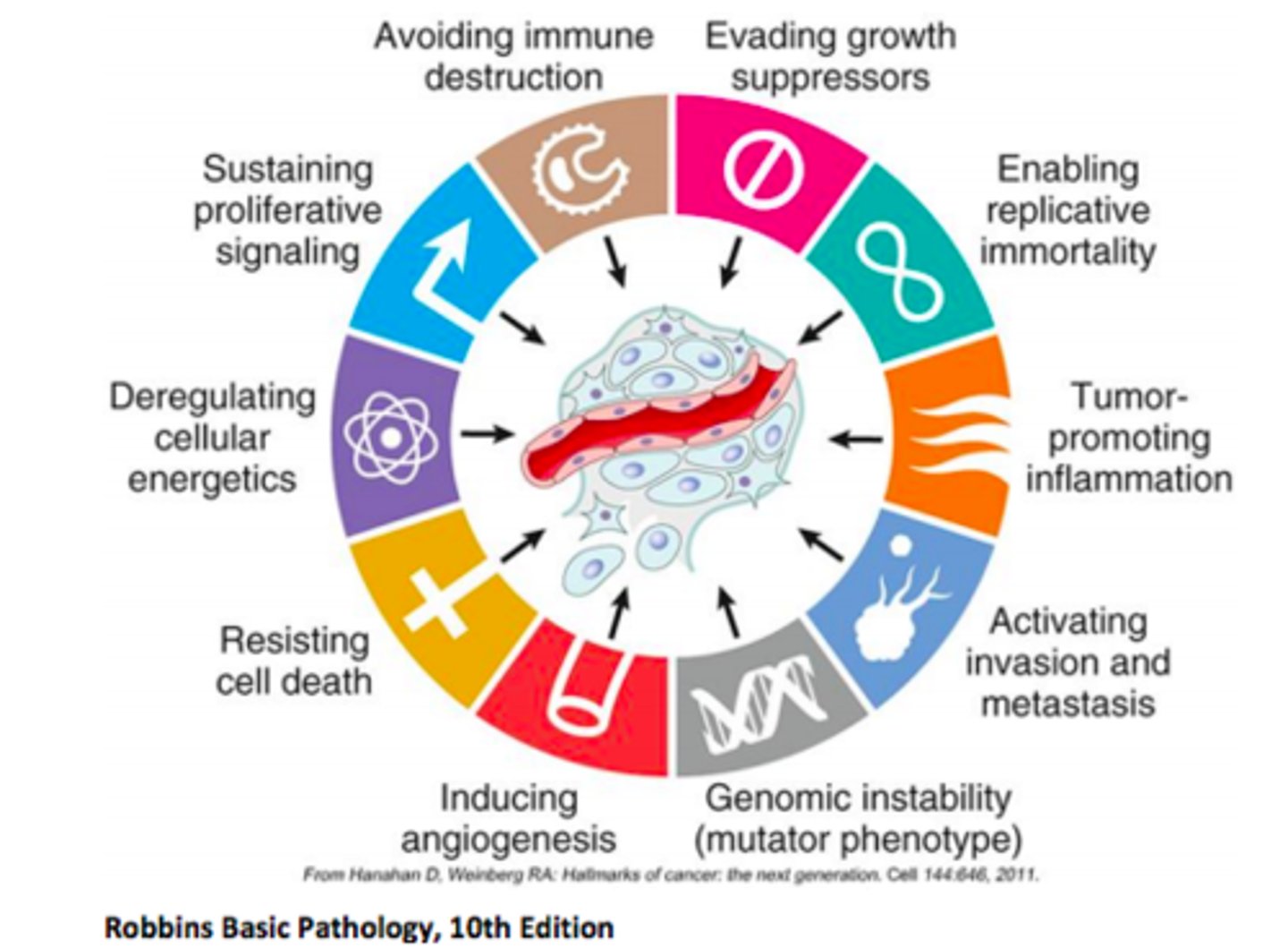 <p>1) Self sufficiency in growth signals</p><p>2) Resistant to stop </p><p>3) Cell immortalisation</p><p>4) Angiogenesis</p><p>5) Resistance to apoptosis </p><p>6) Ability to produce metastases </p><p>7) Deregulated metabolism</p><p>8) Evading immune system </p><p>Two enabling features...</p><p>1) Genomic instability</p><p>2) Tumour-promoting inflammation</p>