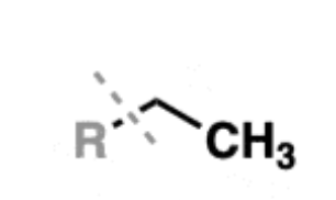 <ul><li><p>hydrocarbons containing no multiple bonds </p></li><li><p>substituents are called alkyl groups</p></li><li><p>common examples: methane, ethane, propane, butane, and octane </p></li><li><p>very non-polar; C-H bond is highly covalent </p></li><li><p>sp3 hybridized and have tetrahedral geometry about the carbon </p></li></ul><p></p>