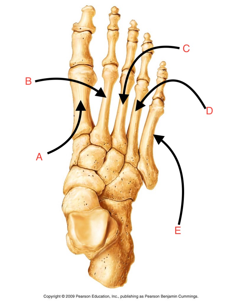 <p>What is C?</p>