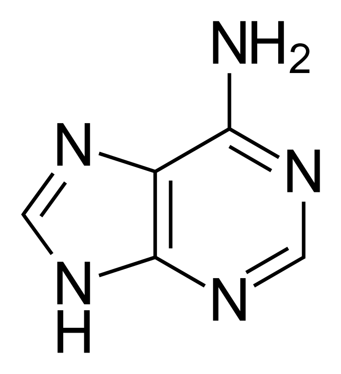<p>What Nucleotide Base is this?</p>