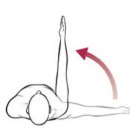 <p>Transverse plane, vertical axis</p>