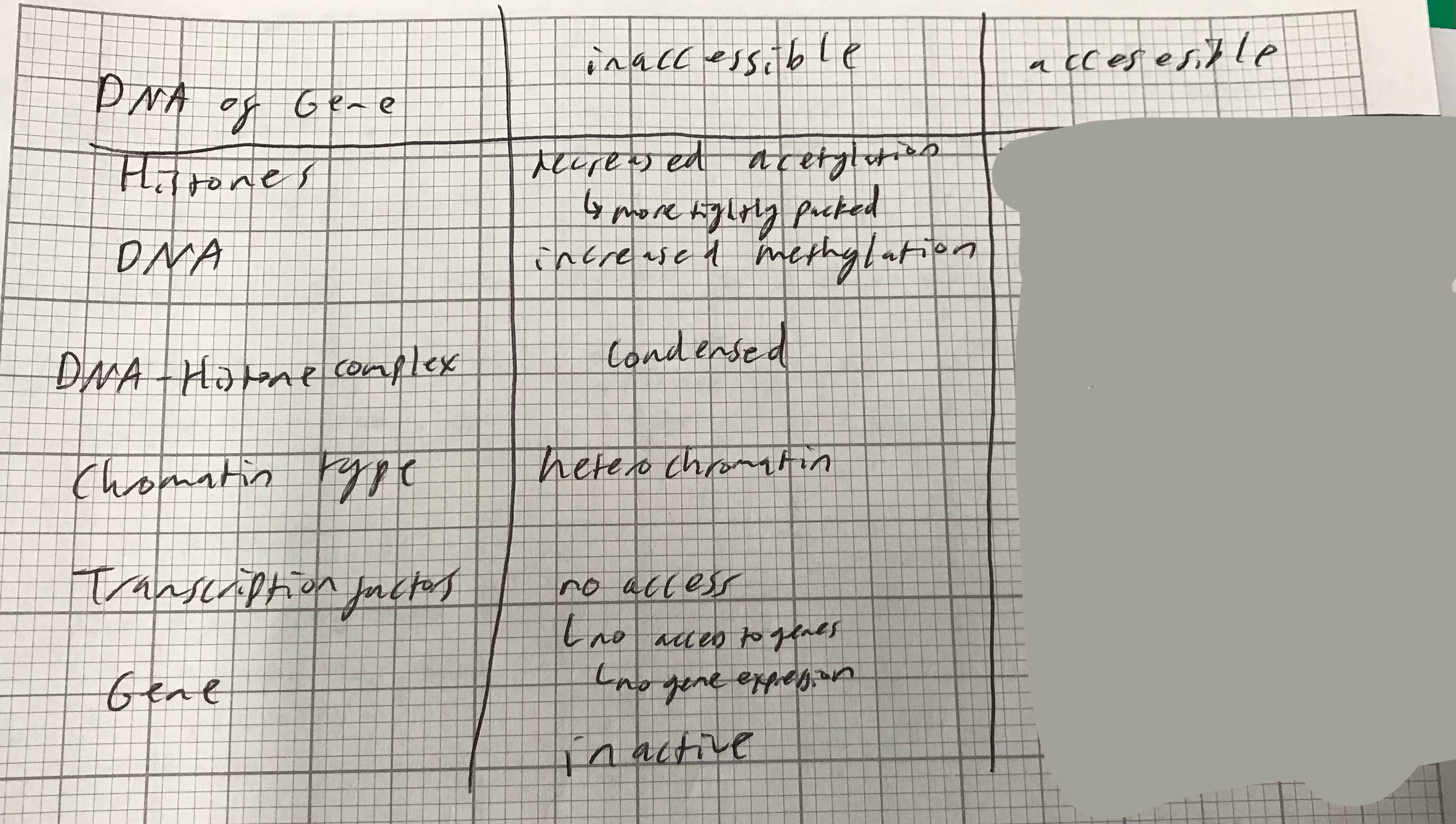 <p>Complete the column for when the DNA bases are accessible </p>