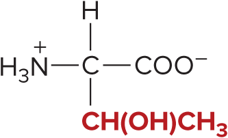 <p>Threonine</p>