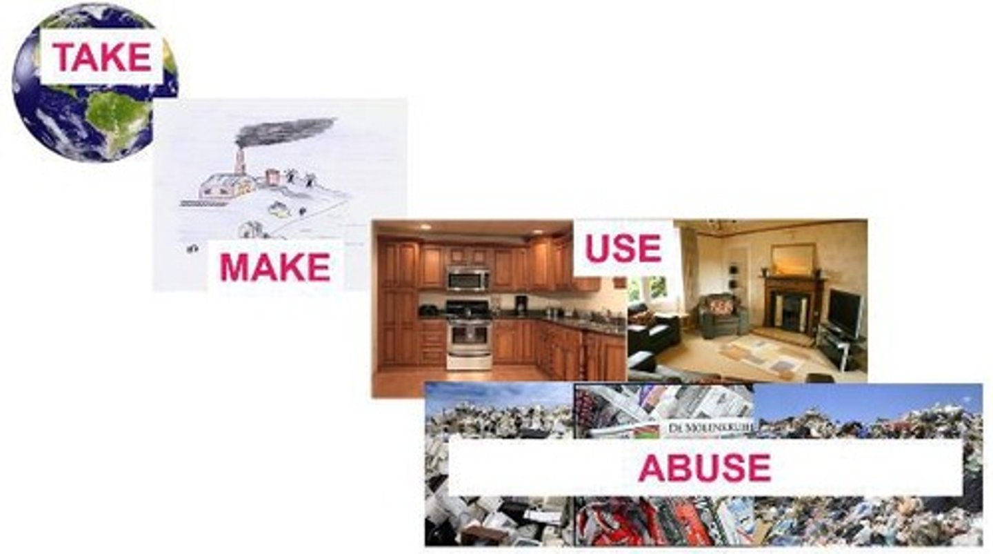 <p>Take → Make → Use → Abuse</p>