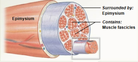 <p>What does this image represent?</p>