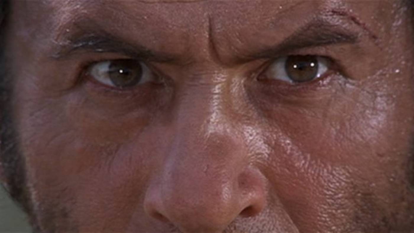 <p>Close shot</p>