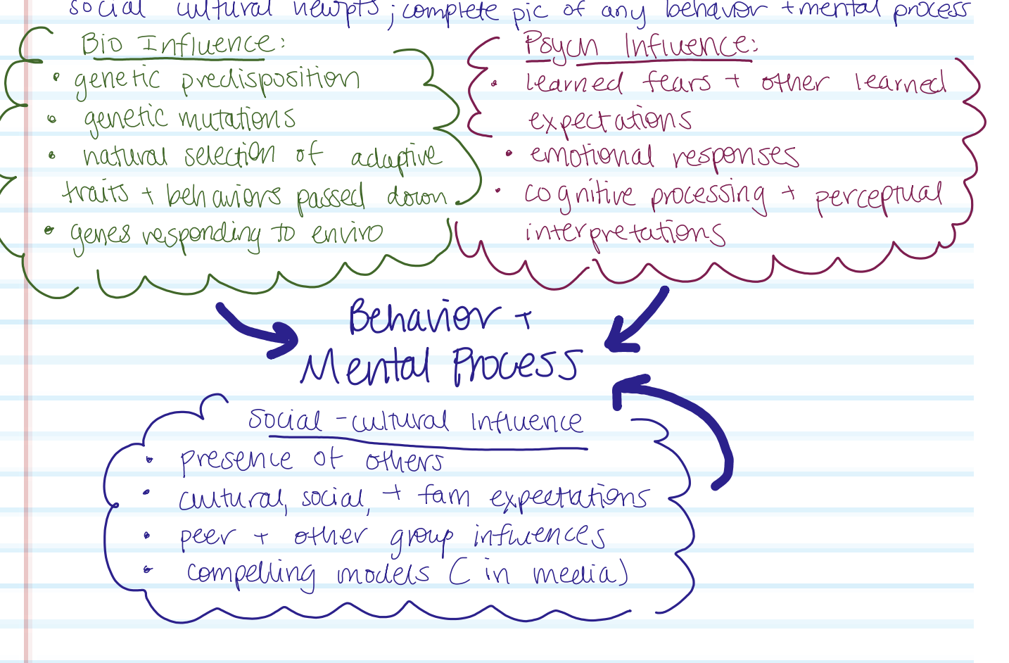<p>integrated approach that includes bio, psycho, and socio-cultural viewpoints</p>