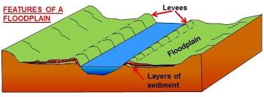 <p>Flat land adjacent to a river that is periodically flooded and built up by alluvial deposits.</p>