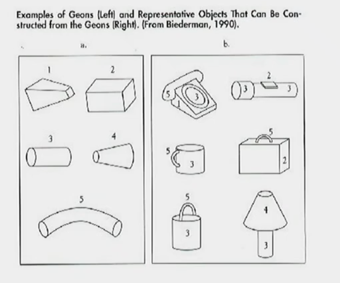 <p>It is a 3D feature matching theory. </p><p></p><p>Biederman believed that all objects were a combination of 3D objects called “Geons.” Therefore, he thought that in order to understand the 3D world we needed to break the input down into separate Geons. Then, we could re-organise the Geons into wholes and recognise what you were looking at from there. </p><p></p><p>So same idea as the Pandemonium but for 3D stuff now. </p>
