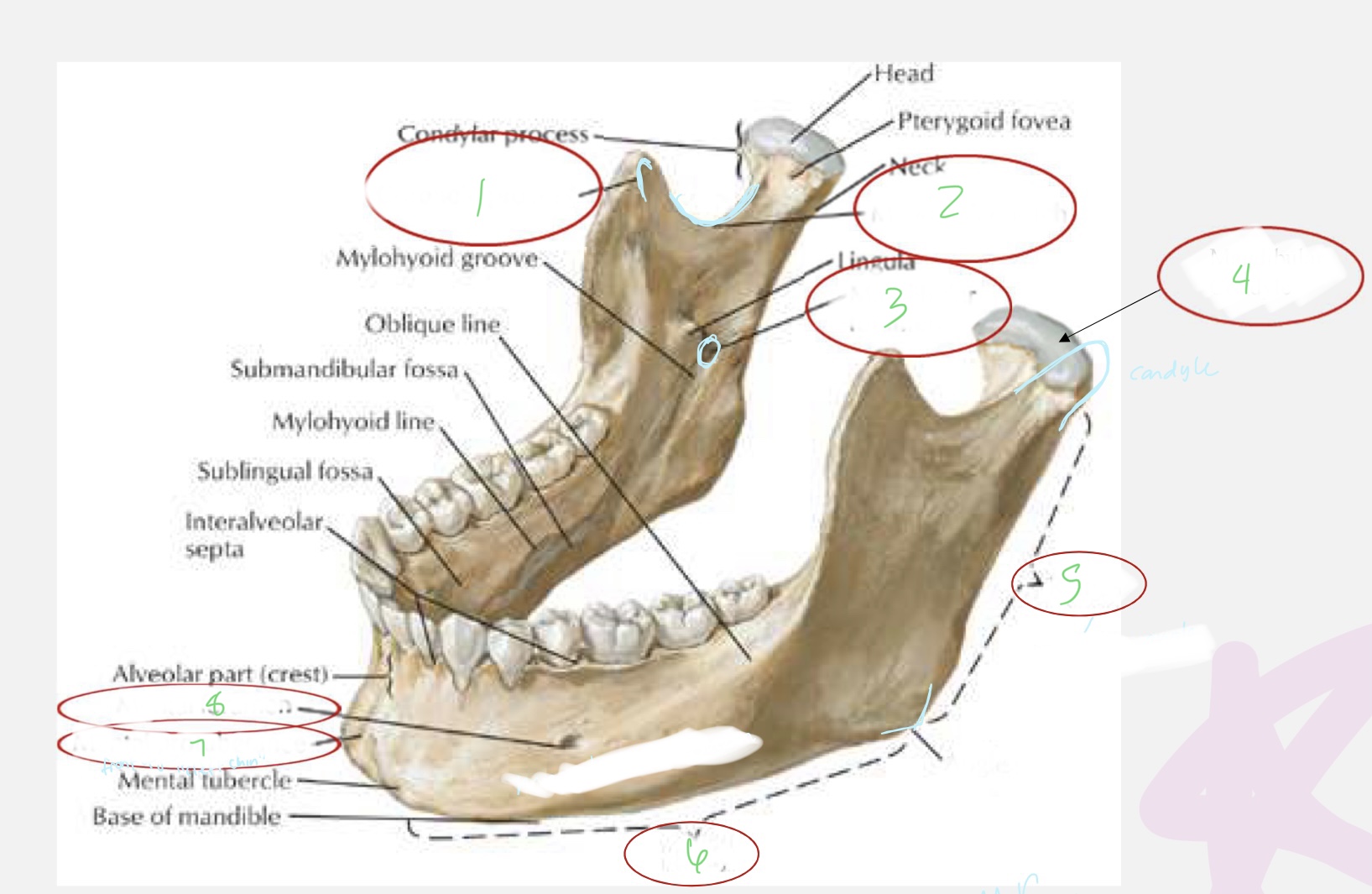<p>what is [6] pointing at</p>