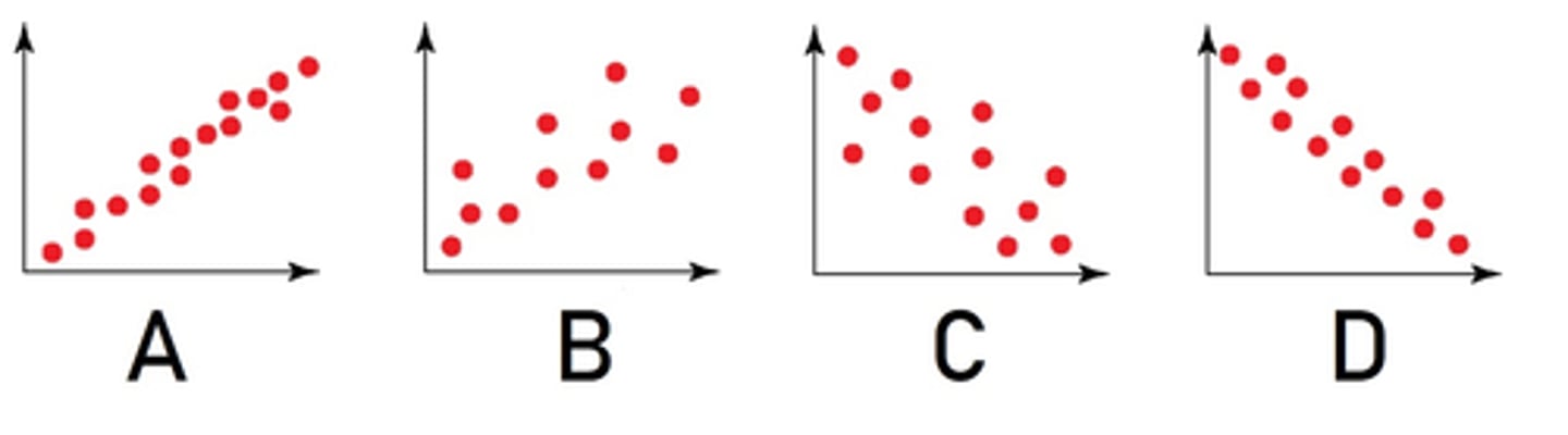 <p>d. D</p>