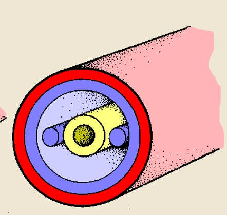ectoderm, mesoderm, endoderm 