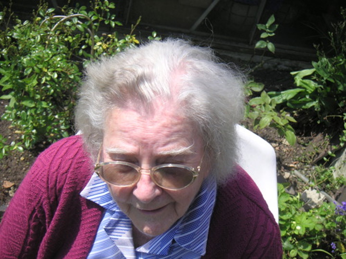 <p>the grandmother</p>
