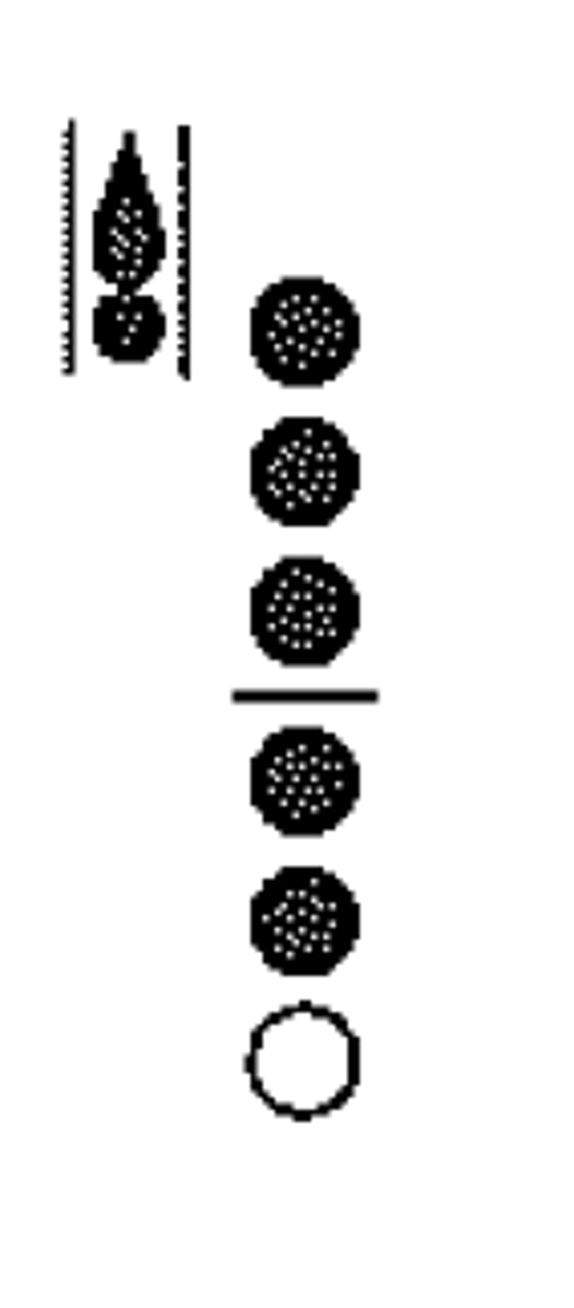 knowt flashcard image