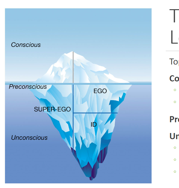 <p>what are the lvls of consciousness?</p>