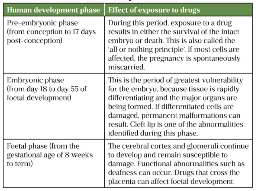 <p>Pre-embryonic:</p><ul><li><p>First few weeks</p></li><li><p>Harmful exposures of teratogenic medications - interfere with embryo ability to attach to uterus - greatest risk of miscarriage (all or nothing period)</p></li></ul><p> </p><p>Embryonic phase</p><ul><li><p>Up to ~8 weeks of foetal development</p></li><li><p>Greatest vulnerability</p></li></ul><p></p><p>Foetal phase:</p><ul><li><p>8 weeks to rest of term</p></li></ul><p></p>