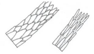 <p></p>