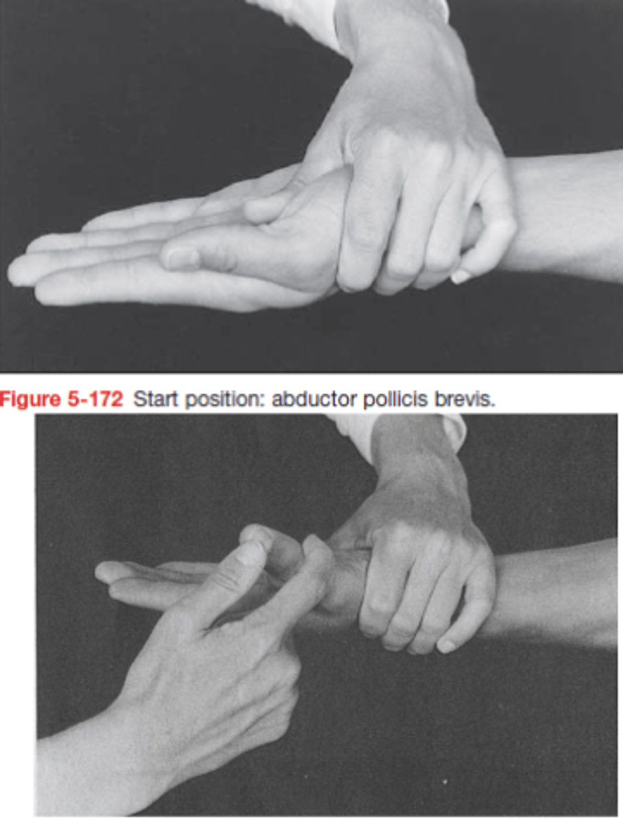 <p>KH: alkar supinatio, MCP flexio</p><p>Tenyér síkjából kiemelni az ujjat!</p><p>Ellenállás: proximalis phalanx</p>