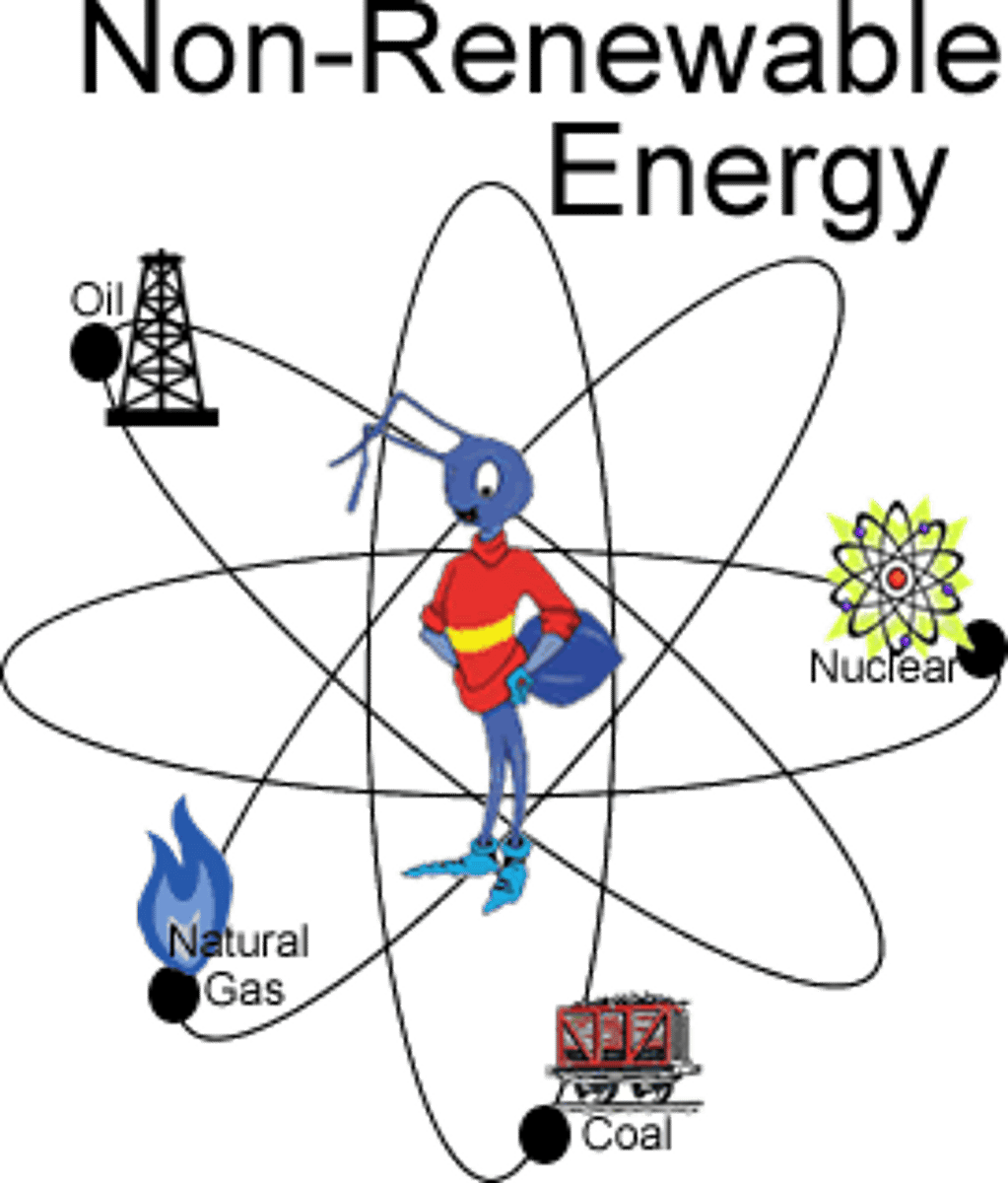<p>A resource or raw material that cannot be grown or replaced once used</p>