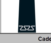 <p>Identify the Cadet Rank and Class Year</p>