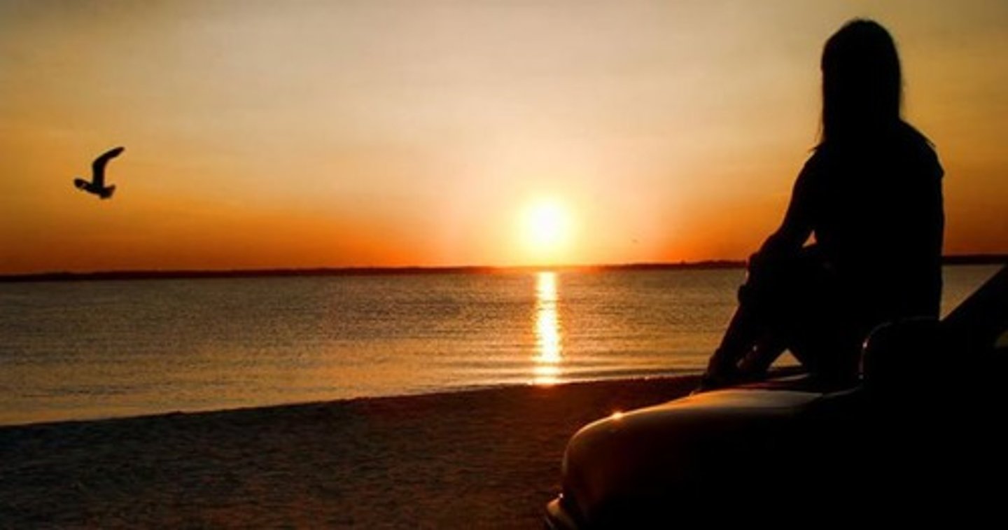 <p>the sunset</p>
