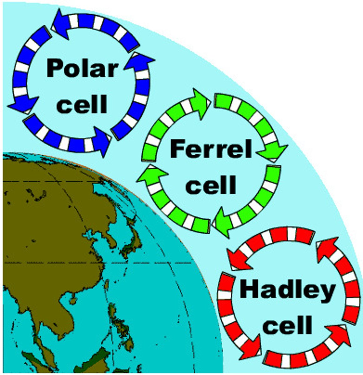 <p>A convection current in the atmosphere that lies between Hadley cells and polar cells</p>
