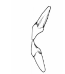 <p>which class </p>