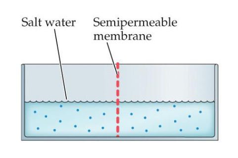 <p>Passive spread of the salt components (ions) to evenly space them in the water</p>